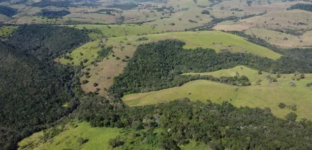 com 1 Quarto à venda, 1080094m² no , Guaraniaçu