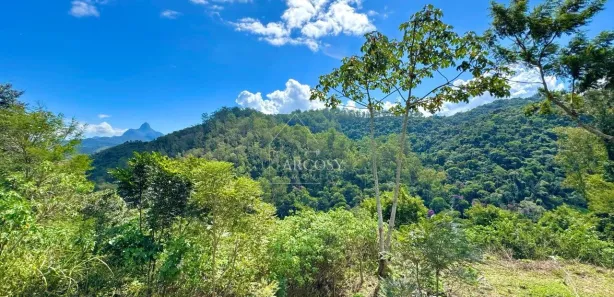 Terreno / Lote / Condomínio à venda, 3900m² no Itaipava, Petrópolis
