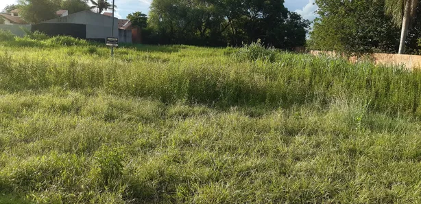 Terreno / Lote / Condomínio à venda, 1500m² no Centro, Porto Murtinho