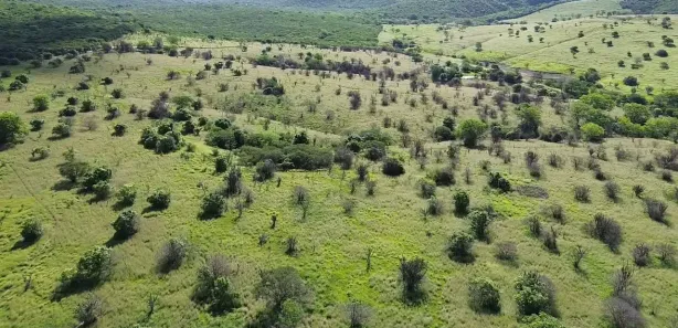 Fazenda / Sítio / Chácara à venda, 2180000m² no Área Rural de Gravatá, Gravatá
