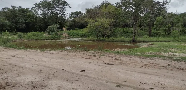 Terreno / Lote / Condomínio à venda, 20000m² no , Fortuna de Minas