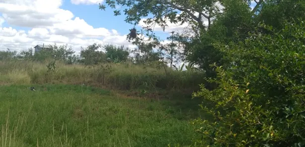 Fazenda / Sítio / Chácara com 4 Quartos à venda, 20000m² no , Feira Nova