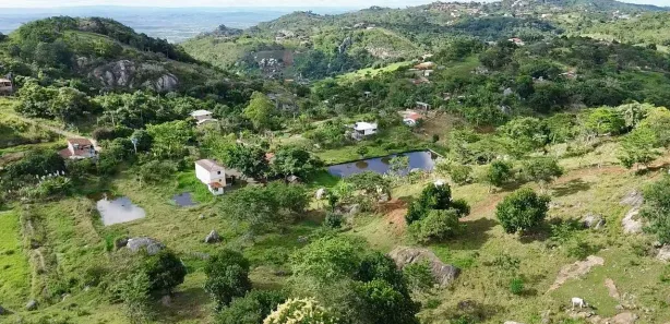 Fazenda / Sítio / Chácara com 6 Quartos à venda, 42000m² no Serra Negra, Bezerros