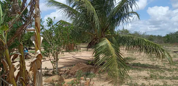 Fazenda / Sítio / Chácara com 3 Quartos à venda, 50m² no , Vera Cruz