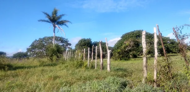 Fazenda / Sítio / Chácara à venda, 23500m² no Alpes Suiços, Gravatá