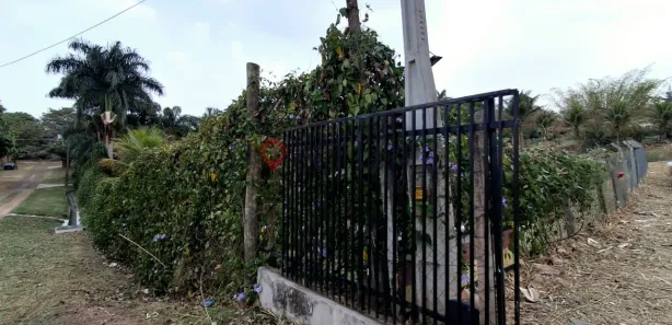 Fazenda / Sítio / Chácara com 3 Quartos para alugar, 5000m² no Parque Serra Dourada, Marília