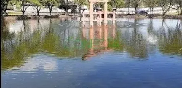 Terreno / Lote / Condomínio à venda, 360m² no Assaí, Assaí