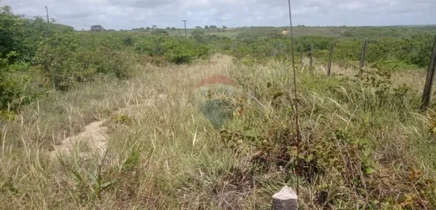 Terreno / Lote / Condomínio à venda, 900m² no , Pitimbu