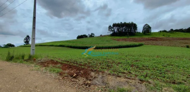 Fazenda / Sítio / Chácara à venda, 242000m² no , Guaraniaçu