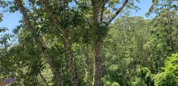 Terreno / Lote / Condomínio à venda, 656m² no Residencial San Diego (Paysage Noble), Vargem Grande Paulista