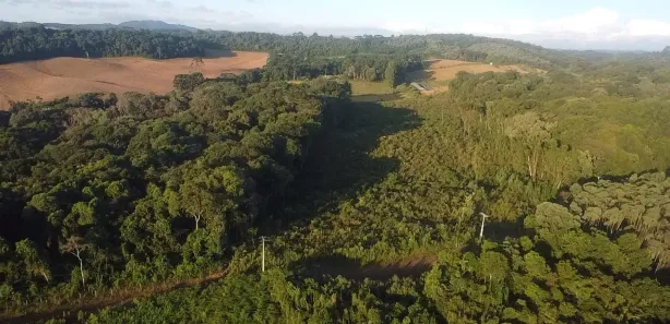 Fazenda / Sítio / Chácara à venda, 44000m² no Área Rural de Almirante Tamandaré, Almirante Tamandaré