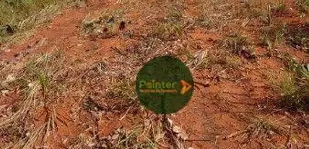 Fazenda / Sítio / Chácara à venda, 5907825m² no , Ponte Alta do Tocantins