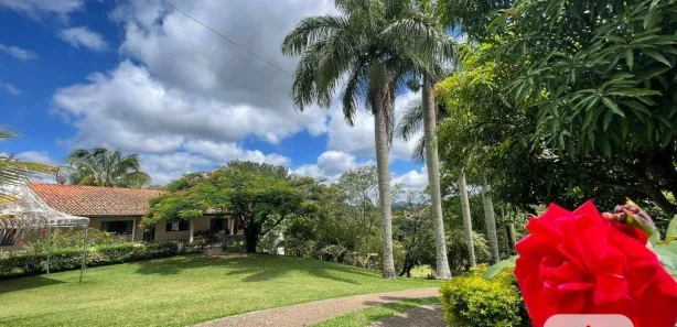 Fazenda / Sítio / Chácara com 4 Quartos à venda, 543m² no Monterrey, Louveira