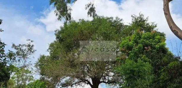 Terreno / Lote / Condomínio à venda, 23600m² no , Santa Branca