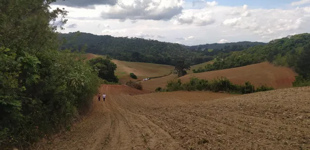 Fazenda / Sítio / Chácara à venda, 48400m² no Pacotuba, Almirante Tamandaré
