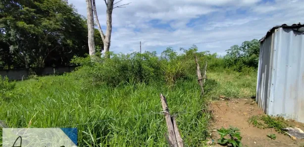 Terreno / Lote / Condomínio à venda, 300m² no Acupe, 