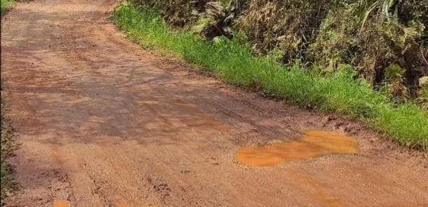 Fazenda / Sítio / Chácara à venda, 14450m² no Área Rural de Almirante Tamandaré, Almirante Tamandaré