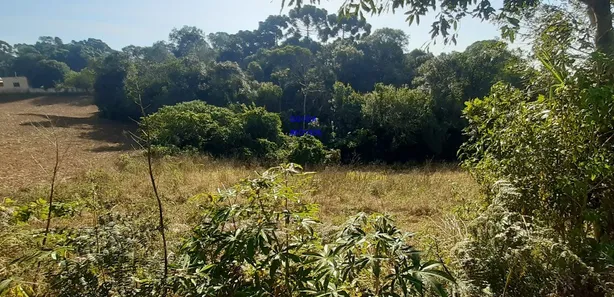 Fazenda / Sítio / Chácara com 2 Quartos à venda, 6000m² no Contenda, Contenda