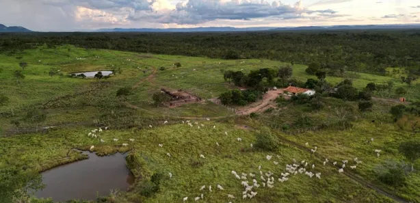 Fazenda / Sítio / Chácara com 4 Quartos à venda, 4065600m² no , Paranã