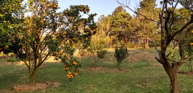 Fazenda / Sítio / Chácara com 2 Quartos à venda, 140m² no Chácara do Remanso Gl Dois, Vargem Grande Paulista