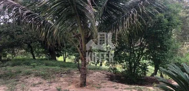 Fazenda / Sítio / Chácara com 3 Quartos à venda, 90m² no Jardim Interlagos (Ponta Negra), Maricá