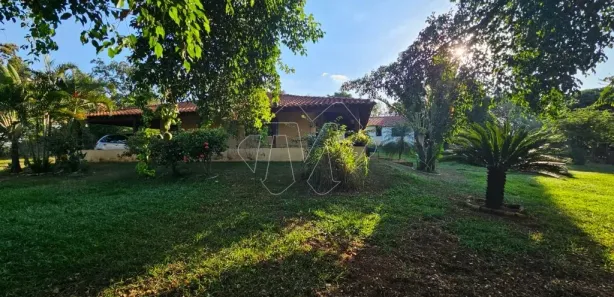 Fazenda / Sítio / Chácara à venda, 2000m² no Machados, Araraquara