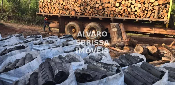 Fazenda / Sítio / Chácara com 4 Quartos à venda, 400m² no Santa Cecília, Pilar do Sul