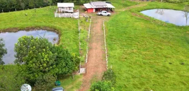 Fazenda / Sítio / Chácara com 4 Quartos à venda, 36300m² no , Guaraniaçu