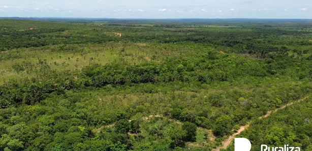 Fazenda / Sítio / Chácara à venda, 290m² no , Ponte Alta do Tocantins
