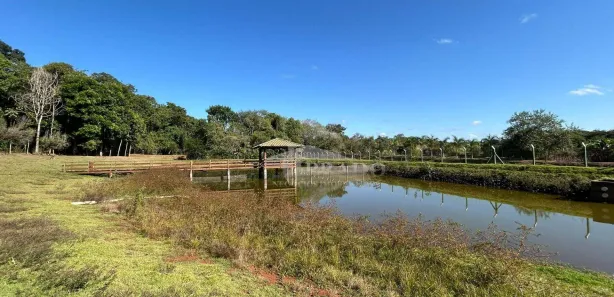 Fazenda / Sítio / Chácara com 6 Quartos à venda, 1100m² no , Ibiporã