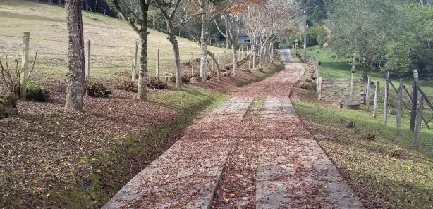 Fazenda / Sítio / Chácara com 7 Quartos à venda, 800m² no Itaqui de Cima, Campo Largo