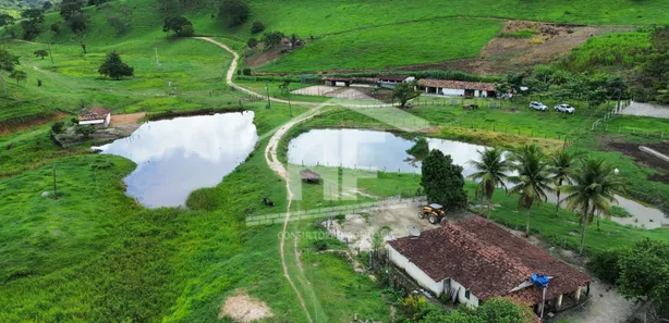 Fazenda / Sítio / Chácara à venda, 451900m² no , Canhotinho