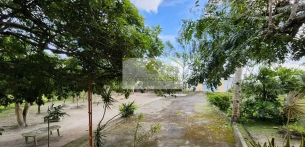 Fazenda / Sítio / Chácara com 3 Quartos à venda, 250m² no , Sairé