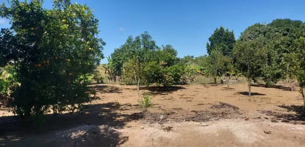 Fazenda / Sítio / Chácara com 3 Quartos à venda, 20000m² no Brazlândia, Brasília