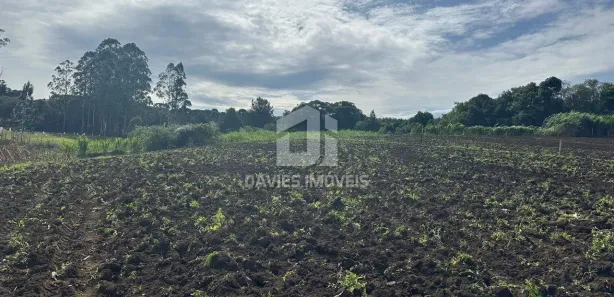 Fazenda / Sítio / Chácara com 6 Quartos à venda, 53000m² no Cachoeira, São José dos Pinhais