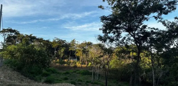 Terreno / Lote / Condomínio à venda, 2000m² no Chacara Sussuapara, Bela Vista de Goiás