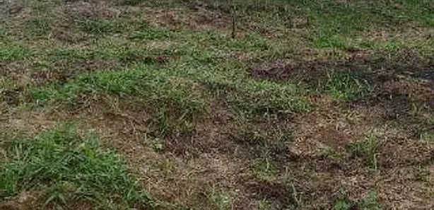 Fazenda / Sítio / Chácara com 1 Quarto à venda, 35m² no São João da Boa Vista, Caçapava