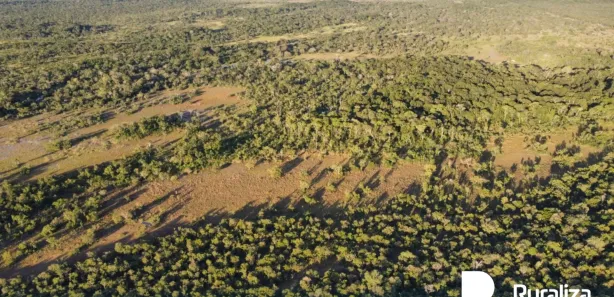 Fazenda / Sítio / Chácara à venda, 590m² no , Pium