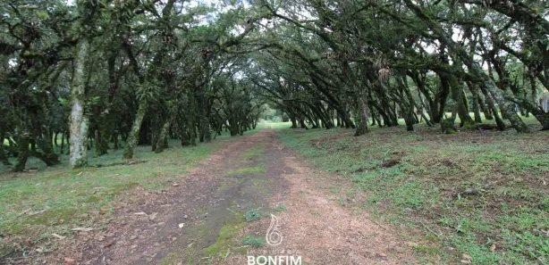 Fazenda / Sítio / Chácara à venda, 86000m² no Cachoeira de São José, São José dos Pinhais