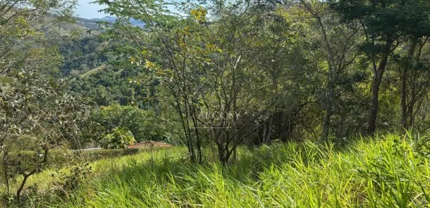 Terreno / Lote / Condomínio à venda, 1262m² no Areal, Areal
