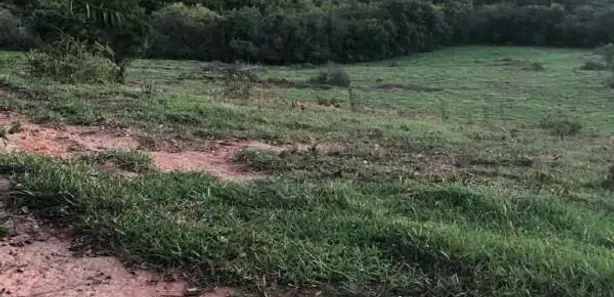 Terreno / Lote / Condomínio à venda, 1m² no Centro, Cláudio