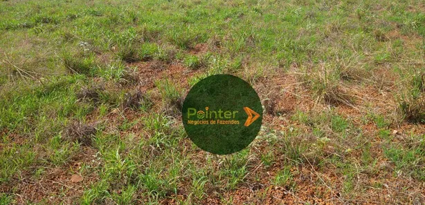 Fazenda / Sítio / Chácara à venda, 15972000m² no Área Rural de Gurupi, Gurupi