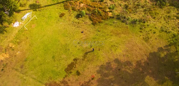 Terreno / Lote / Condomínio à venda, 49047m² no , Campina Grande do Sul