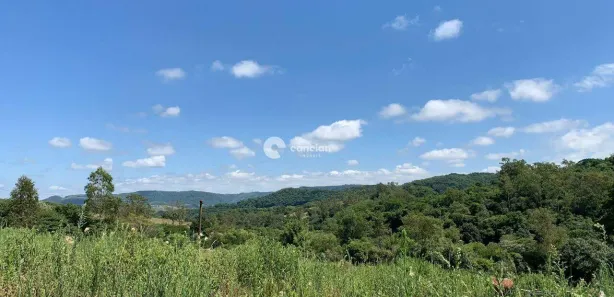 Fazenda / Sítio / Chácara à venda, 10000m² no , Santa Maria