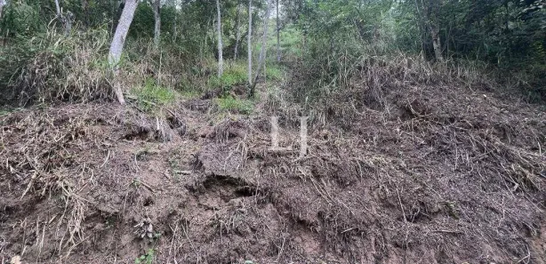 Terreno / Lote / Condomínio à venda, 772m² no Pedro do Rio, Petrópolis