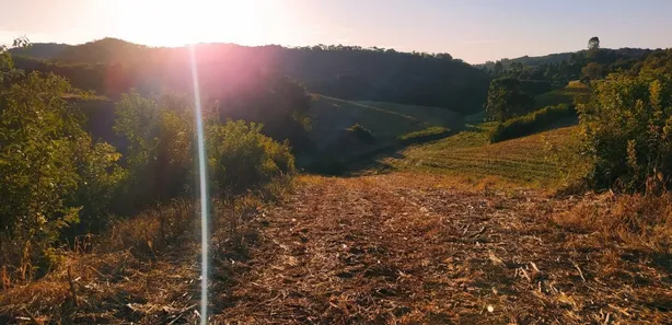 Fazenda / Sítio / Chácara à venda, 48400m² no Pacotuba, Almirante Tamandaré