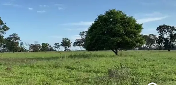 Fazenda / Sítio / Chácara à venda, 500m² no , Lagoa Santa