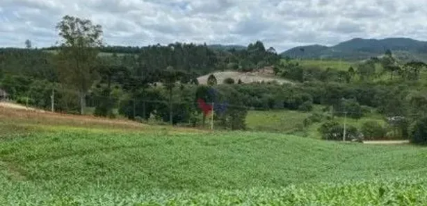 Fazenda / Sítio / Chácara com 1 Quarto à venda, 94682m² no , Tijucas do Sul