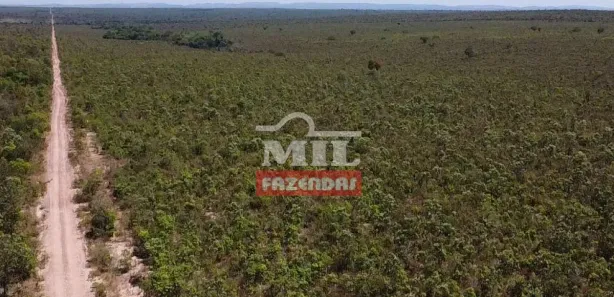 Fazenda / Sítio / Chácara à venda, 20000m² no , Guaraí