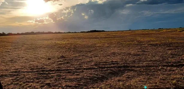Fazenda / Sítio / Chácara à venda, 7986000m² no , Silvanópolis